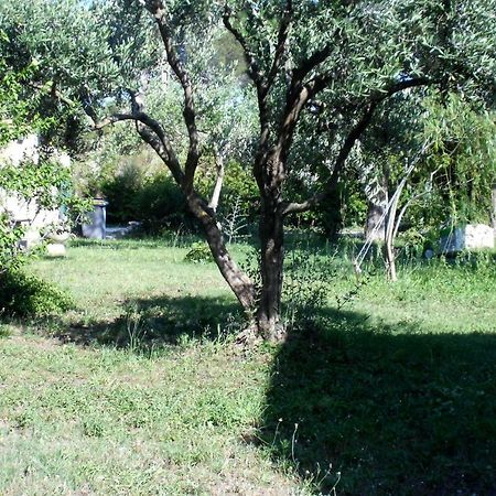 B&B Le Petit Frigouye Rochefort-du-Gard Zewnętrze zdjęcie