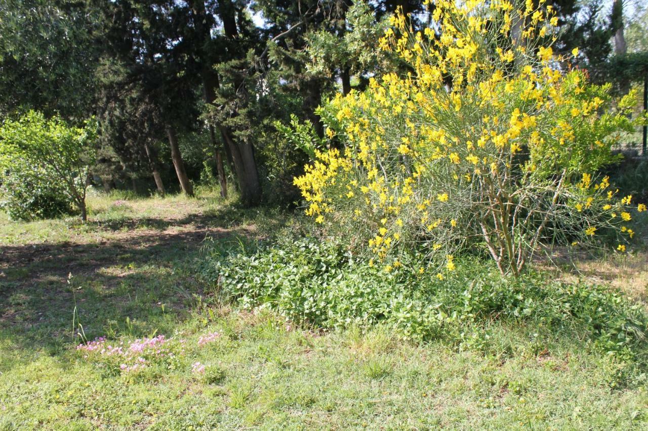 B&B Le Petit Frigouye Rochefort-du-Gard Zewnętrze zdjęcie
