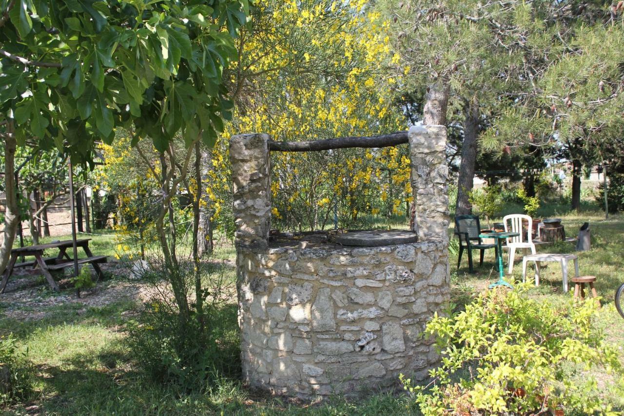 B&B Le Petit Frigouye Rochefort-du-Gard Zewnętrze zdjęcie